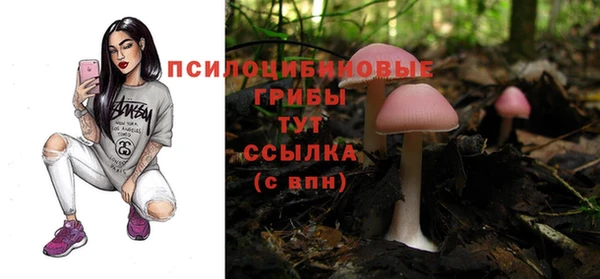 кокс Абаза