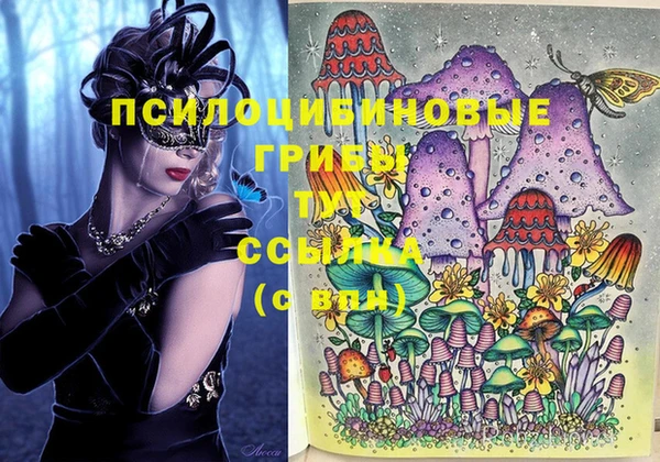 кокс Абаза