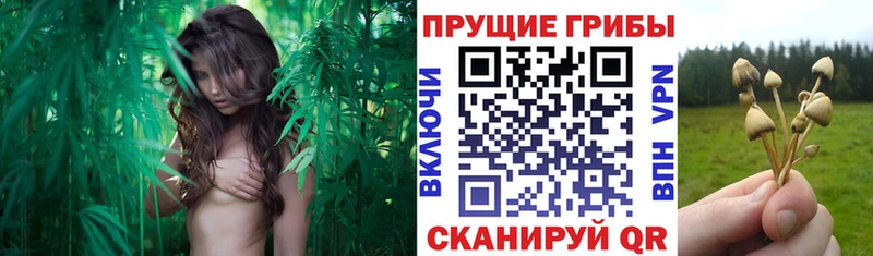 Галлюциногенные грибы MAGIC MUSHROOMS Кизляр